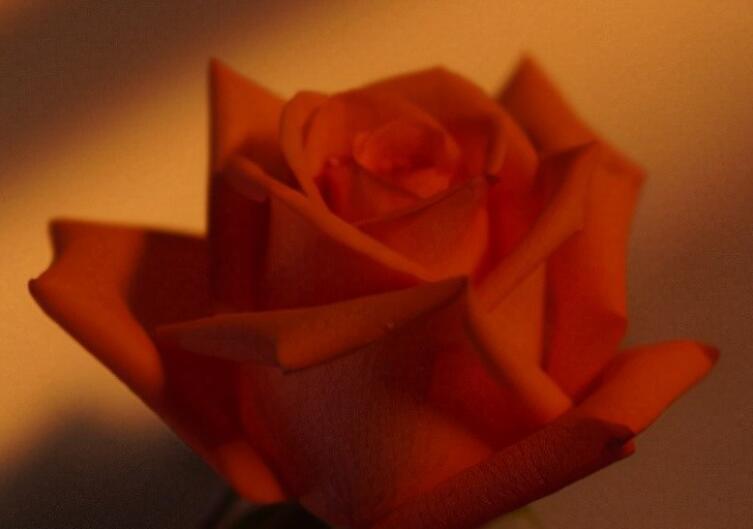 对生活充满希望的文案