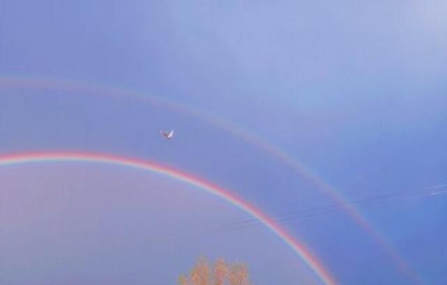 抖音励志文案致朋友