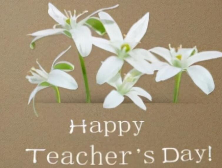 师生朋友圈文案