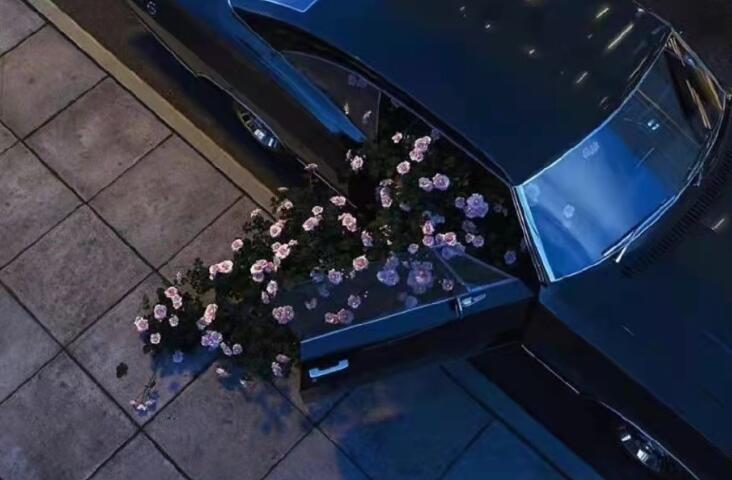 朋友圈文案带图