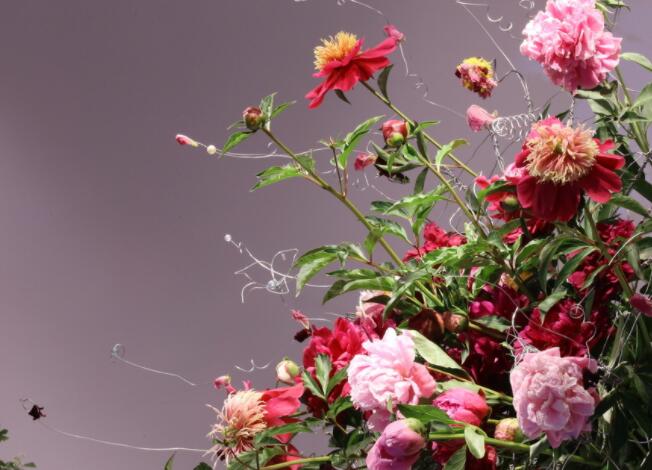 朋友圈对生活的文艺文案