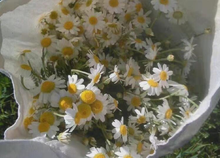 图案朋友圈文案