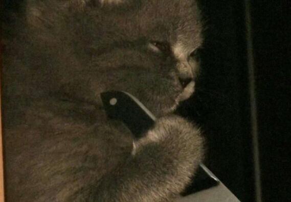 很土的朋友圈文案