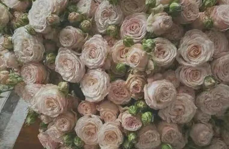 关于你说的文案