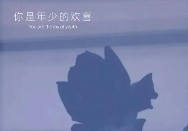 朋友圈发眼睛照片的文案