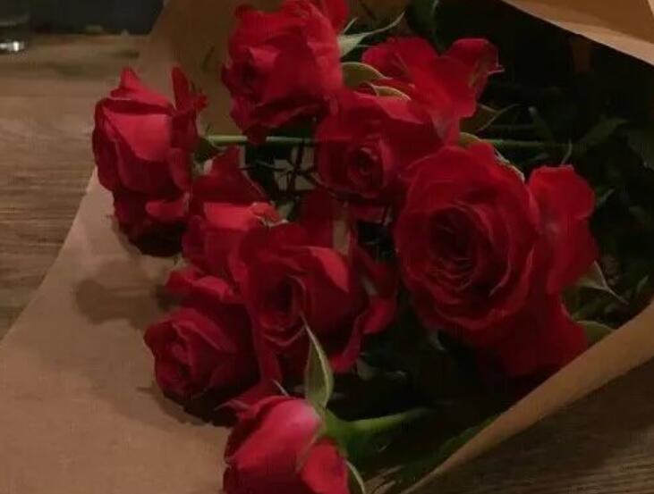 少年与玫瑰的文案