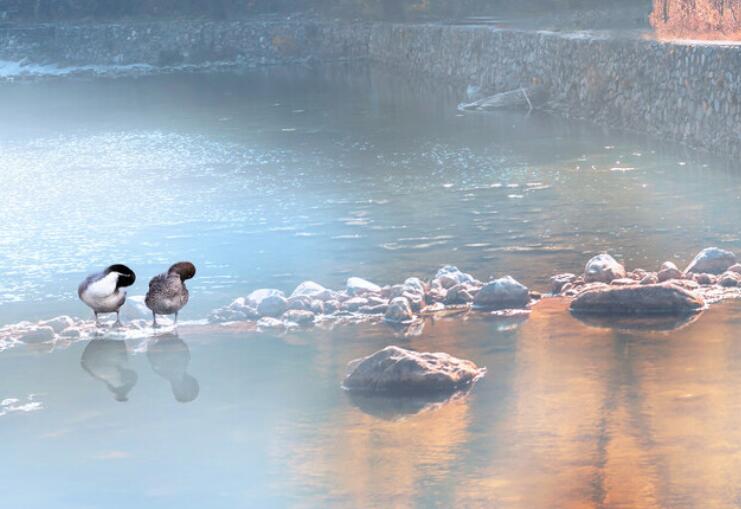 励志温柔的无关爱情的文案