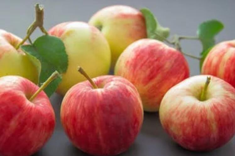 生鲜水果走心文案