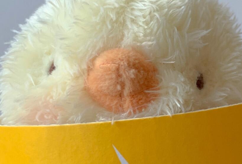 今日份小可爱朋友圈文案