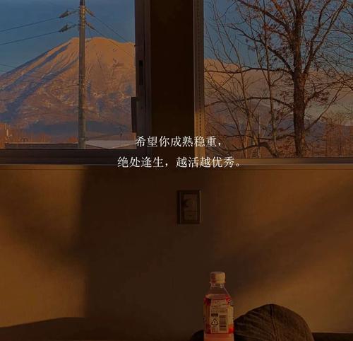 含蓄表达爱情的文案