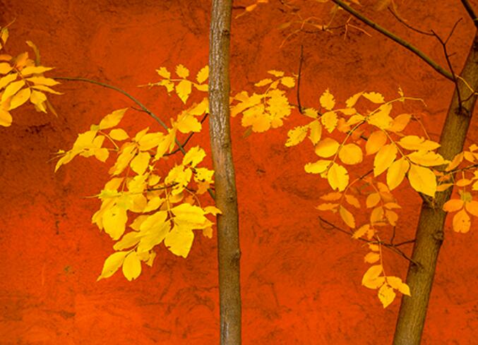 适合写进作文里的片段文案