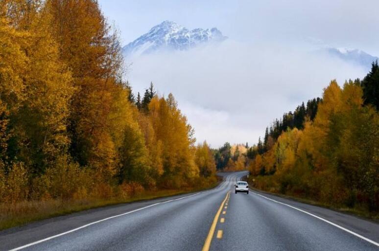 关于马路的文案