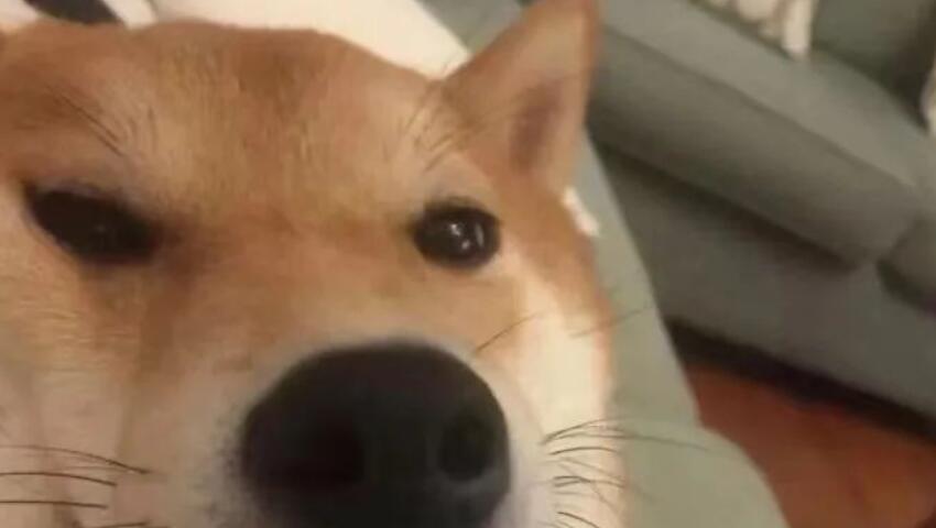 跨年发自拍的九宫文案