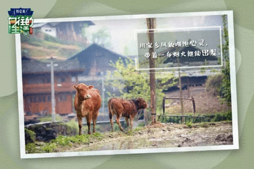 田园生活唯美文案