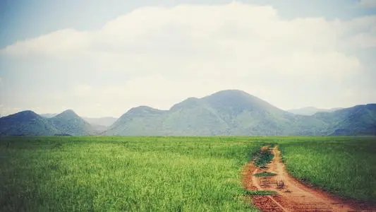 朋友圈拍一拍文案