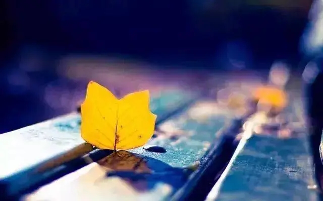 表示赞赏老师的文案