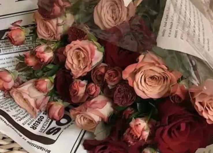 抖音英文文案特殊字体