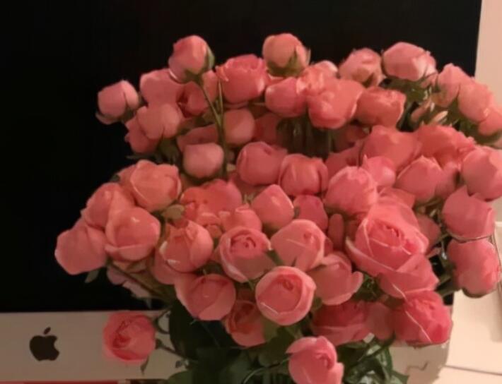 容易上热门的短句文案2021