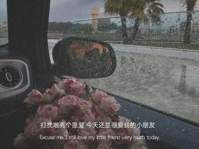 朋友圈简单文案加配图