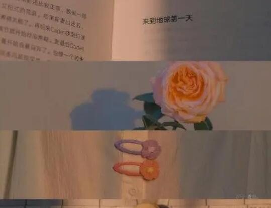 清新浪漫表白文案