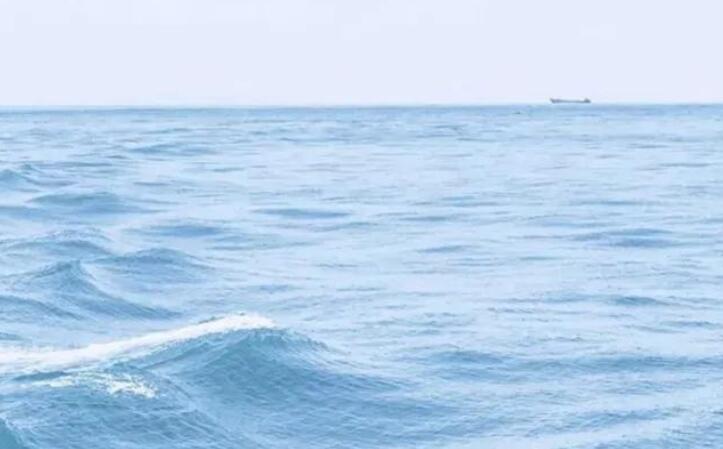 2024最新走心文案