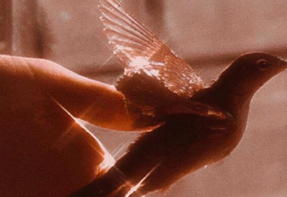 蛋糕店晚安文案