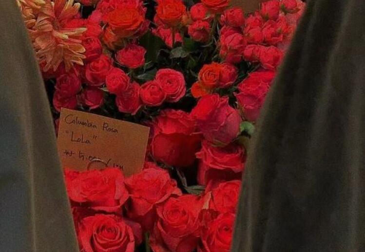 适合艾特对象的温柔文案