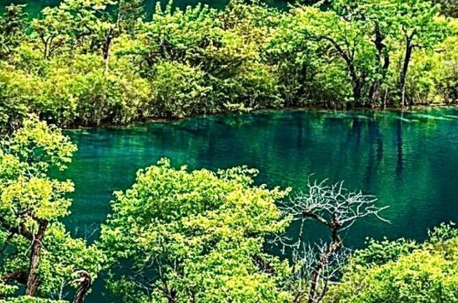 风景短视频文案