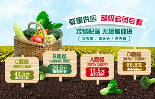 蔬菜配送宣传文案