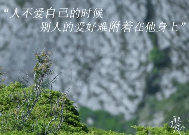 综艺节目宣传文案