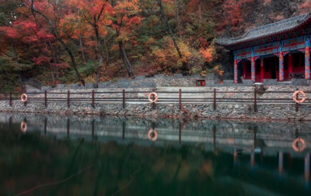 容易上热门的文案霸气短句