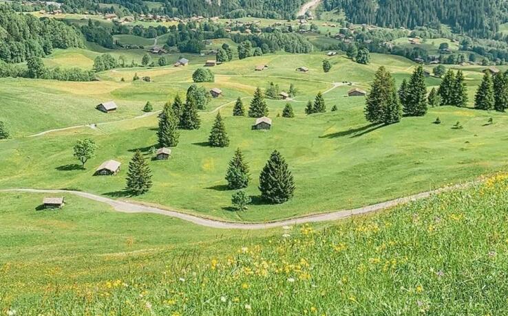 春天的气息的优美句子文案