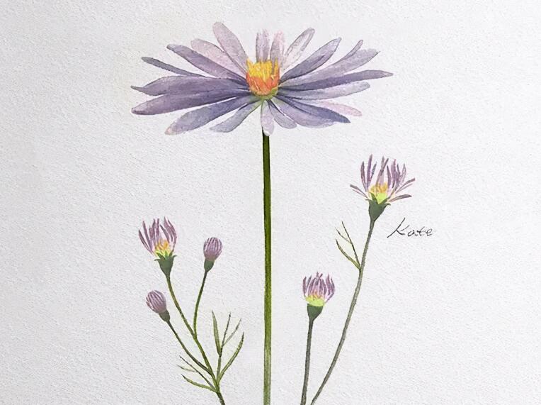 适合手写的文案