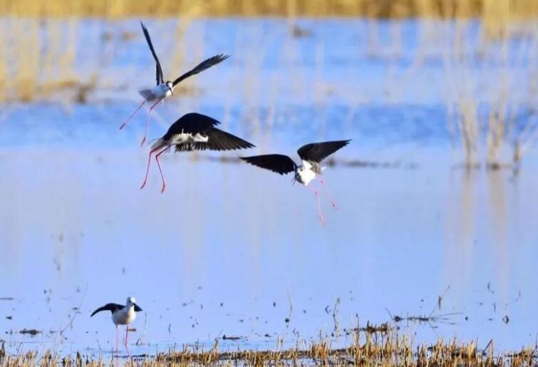 90后生活压力文案