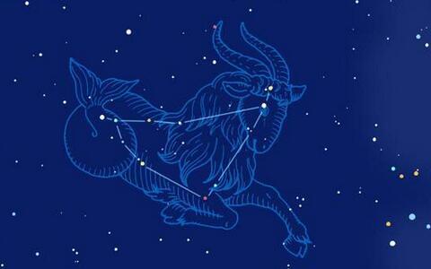 抖音摩羯座文案