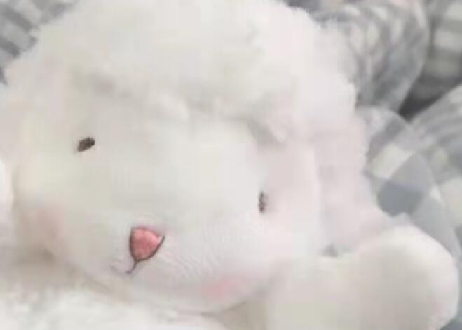 很长很长的文案