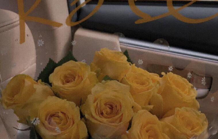 关于一个在意我细节的文案