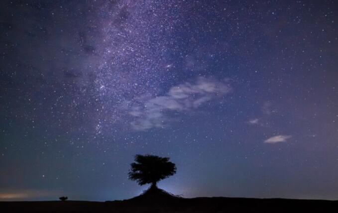 分享日常的英文文案
