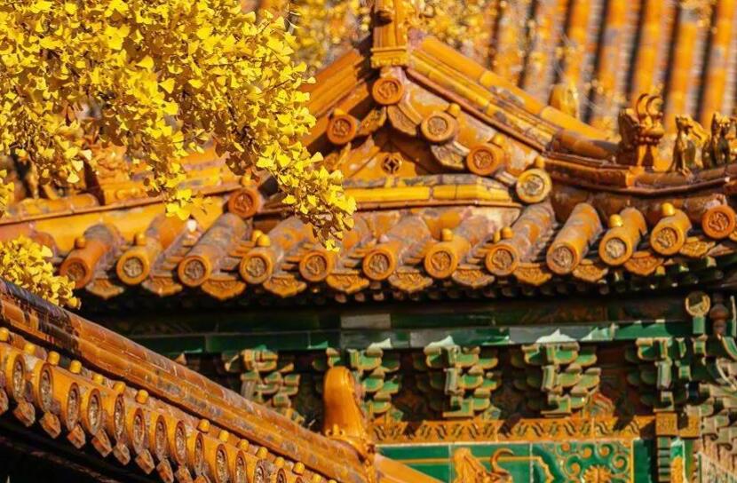 关于历史的文案