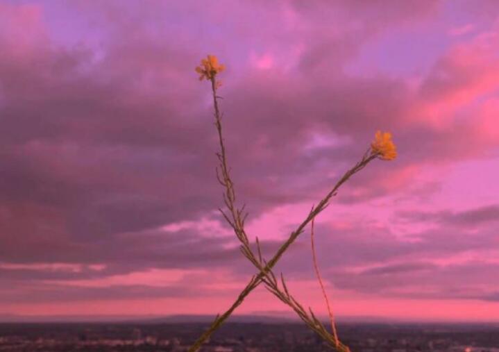 你在我心里很重要的文案