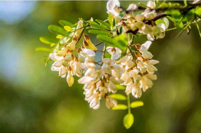 开奖朋友圈文案