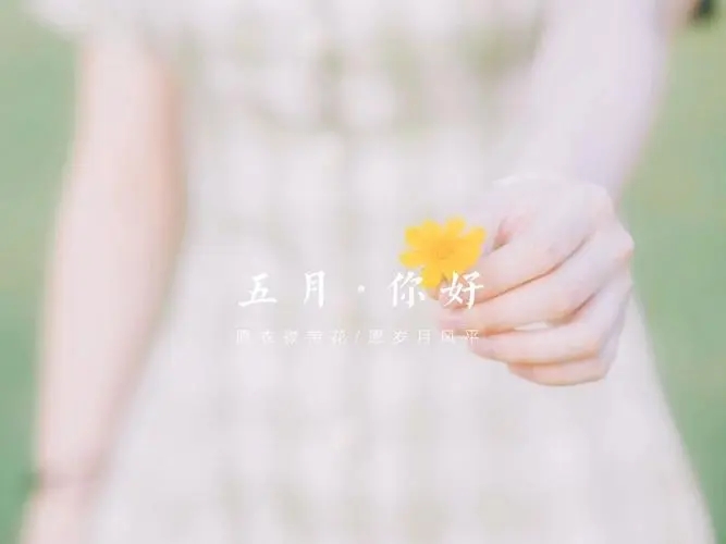 适合五月发的文案