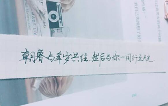 公开恋情的朋友圈文案长文