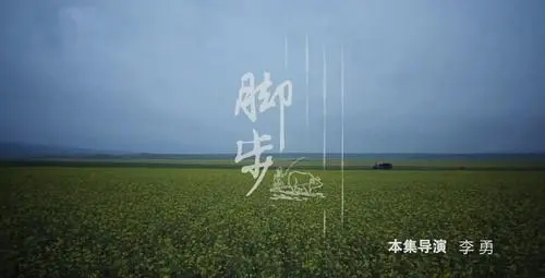 安静的乡村生活文案