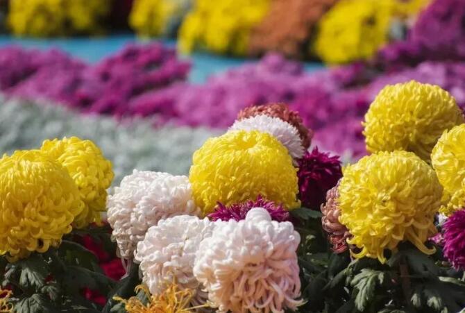 出去玩适合发的朋友圈文案