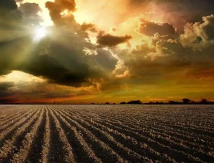 动员会朋友圈文案