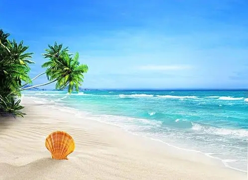 大海沙滩的文案