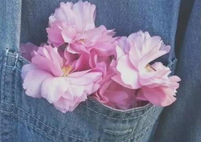 朋友圈英文文案简短