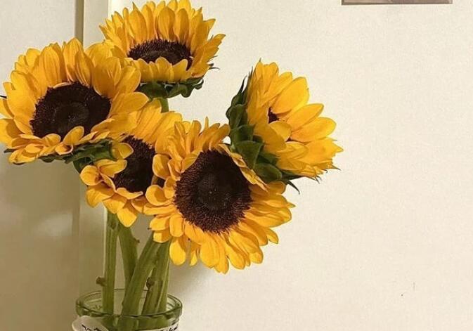 适合作文开头的文案