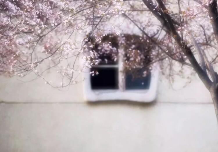 形容生命很短暂的文案